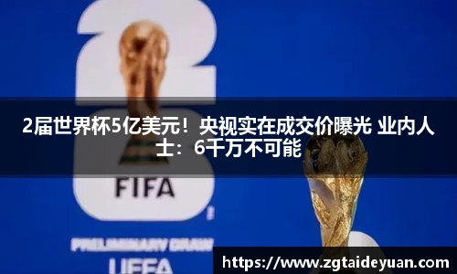2届世界杯5亿美元！央视实在成交价曝光 业内人士：6千万不可能